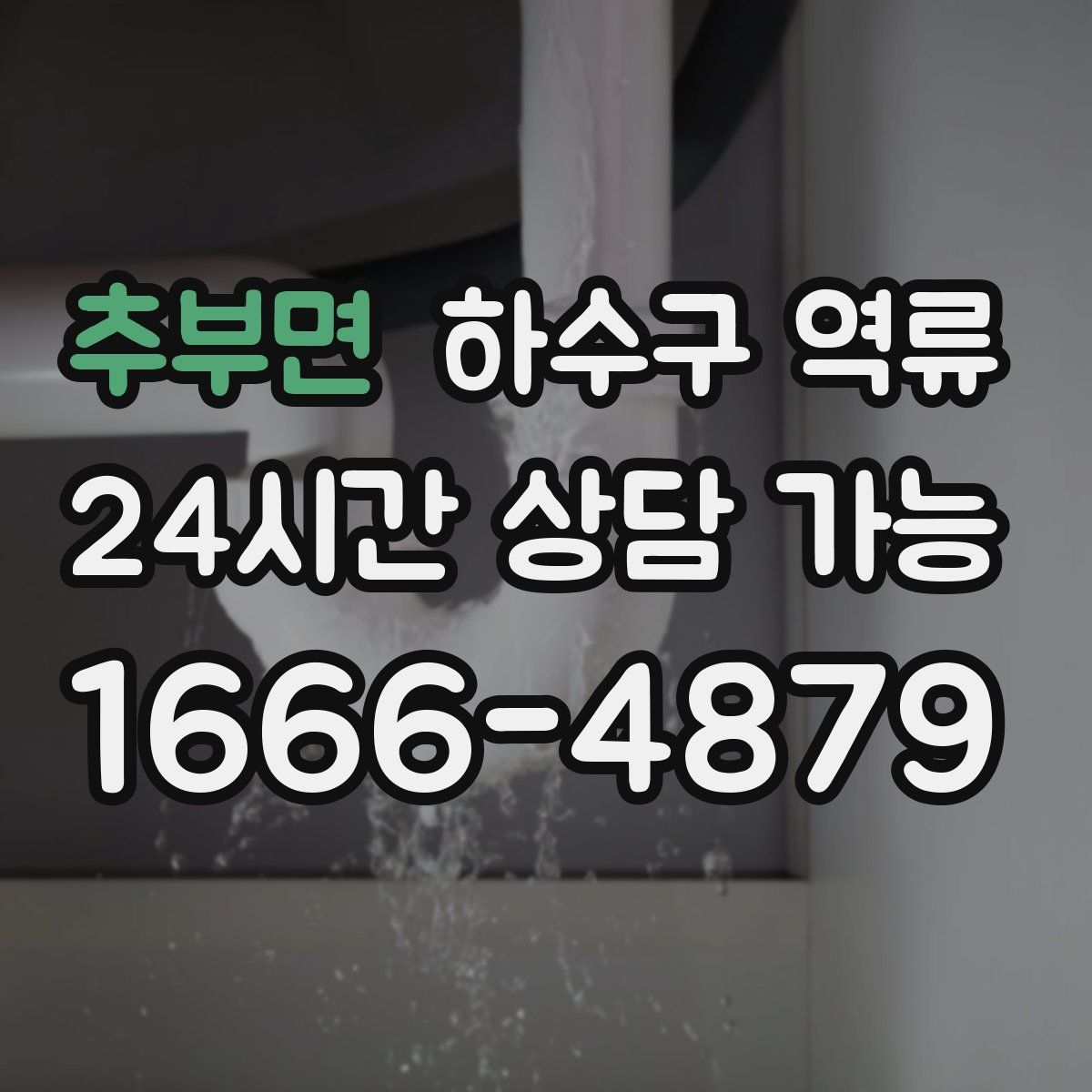 추부면 하수구 역류
