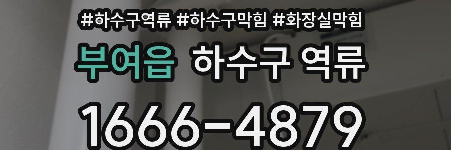 부여읍 하수구 역류