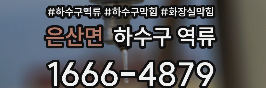 은산면 하수구 역류