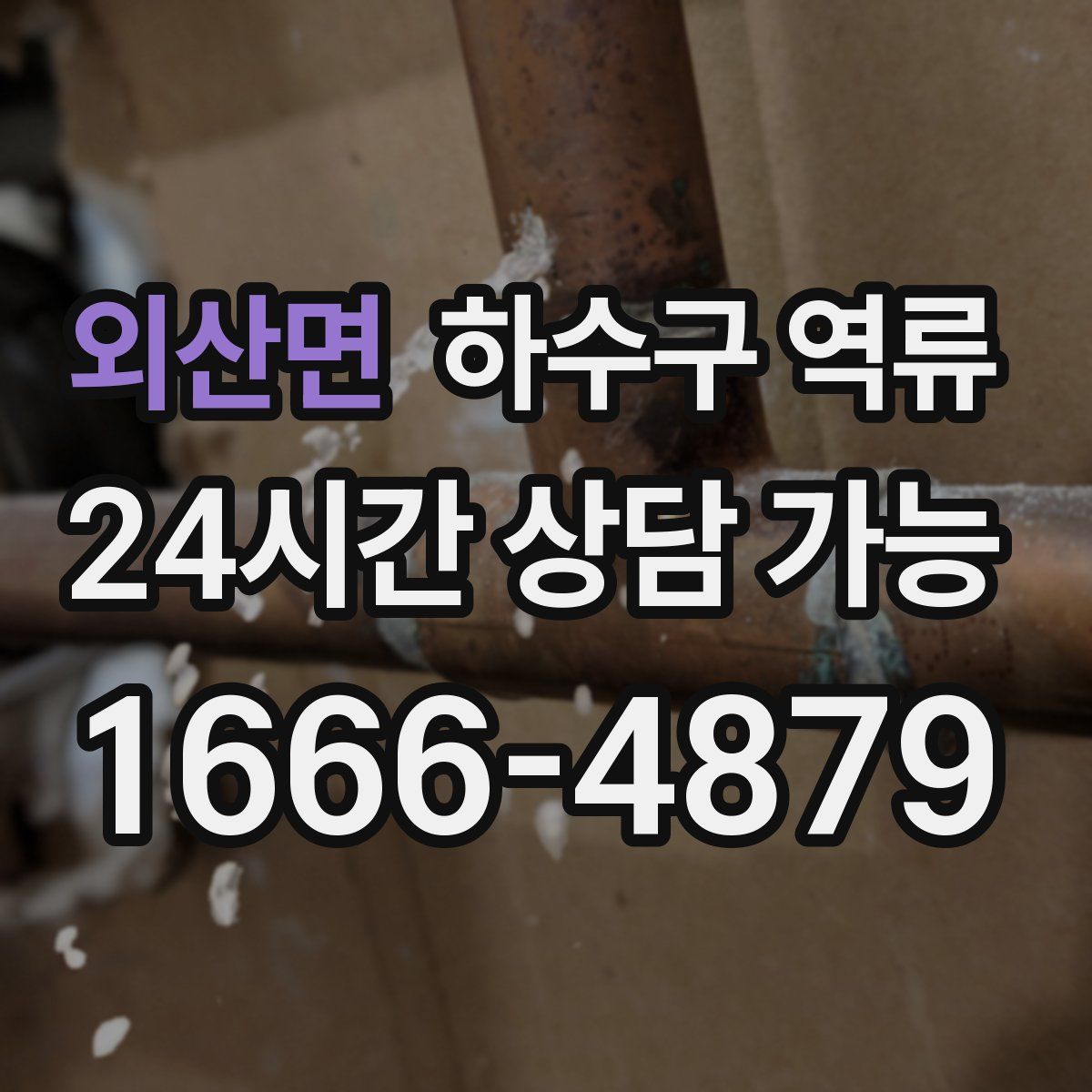 외산면 하수구 역류