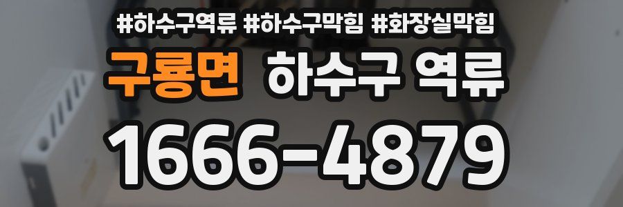 구룡면 하수구 역류