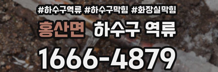 홍산면 하수구 역류