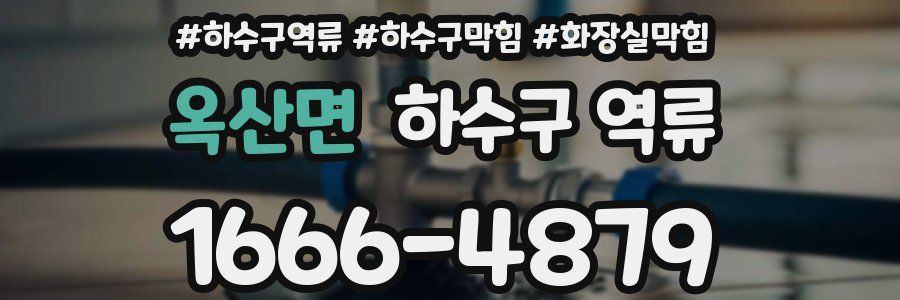 옥산면 하수구 역류