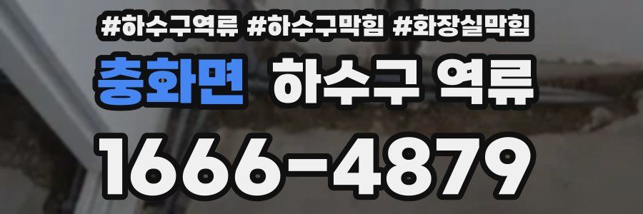 충화면 하수구 역류