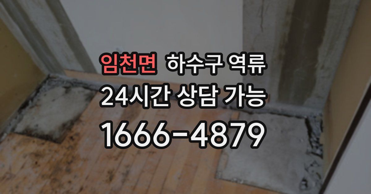 임천면 하수구 역류