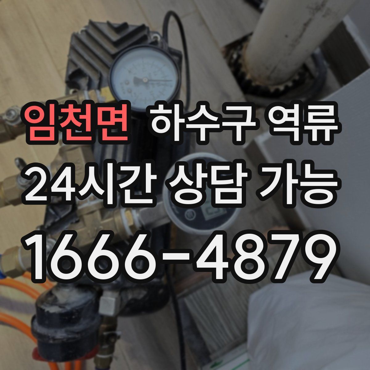 임천면 하수구 역류