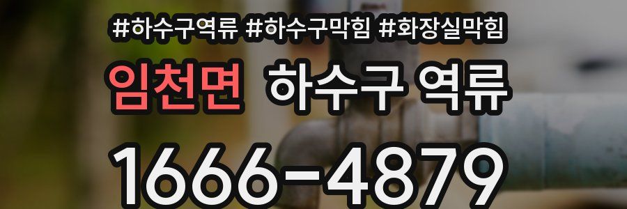 임천면 하수구 역류