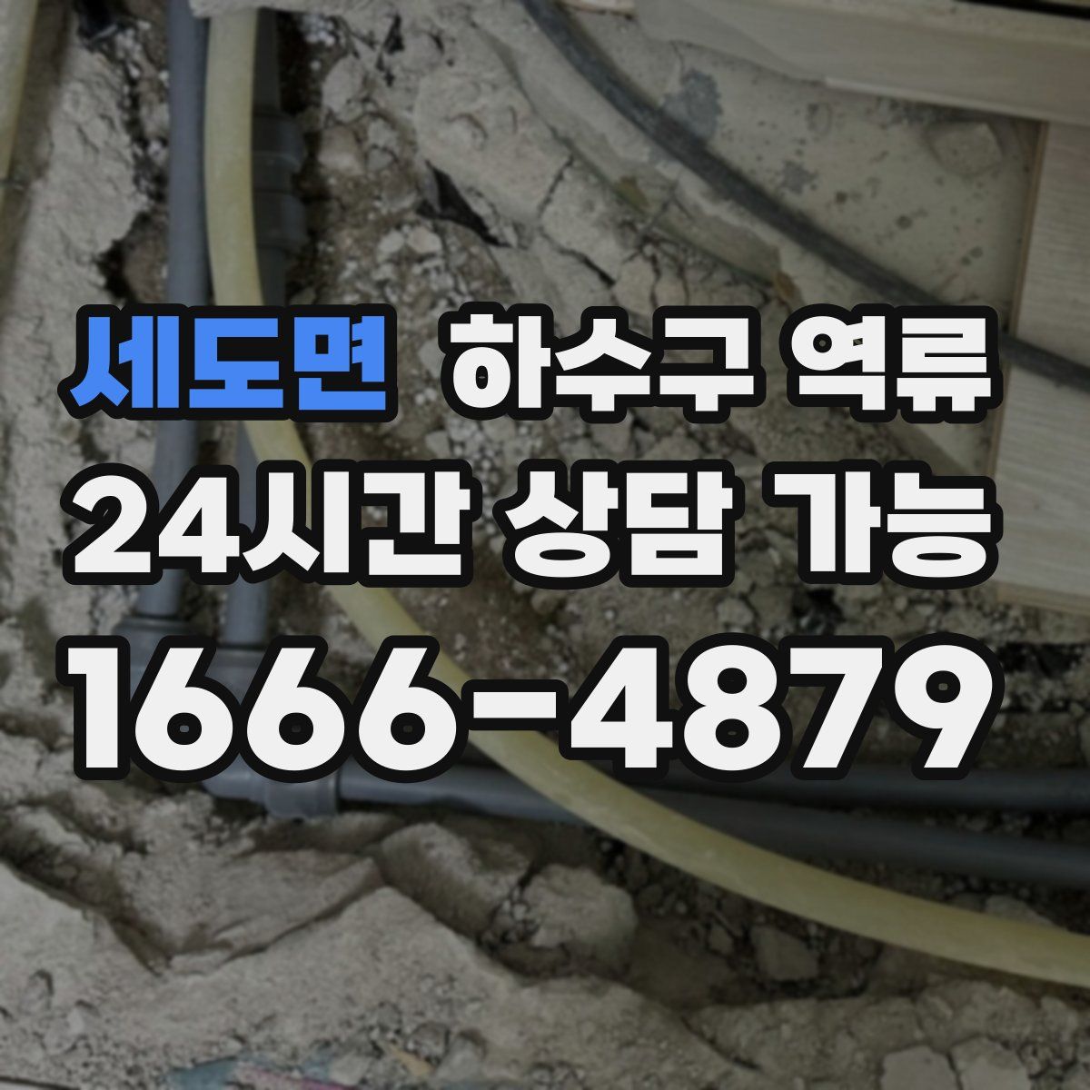 세도면 하수구 역류