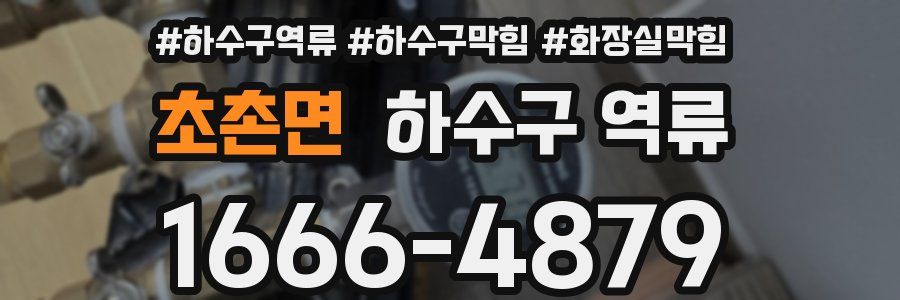 초촌면 하수구 역류
