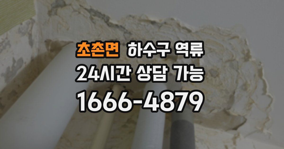 초촌면 하수구 역류