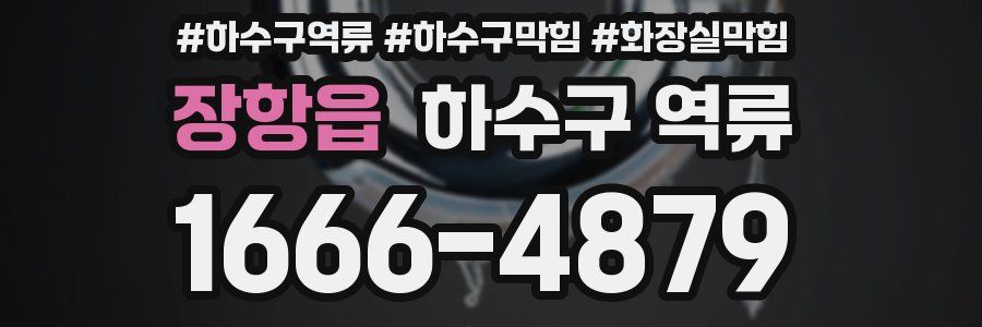 장항읍 하수구 역류