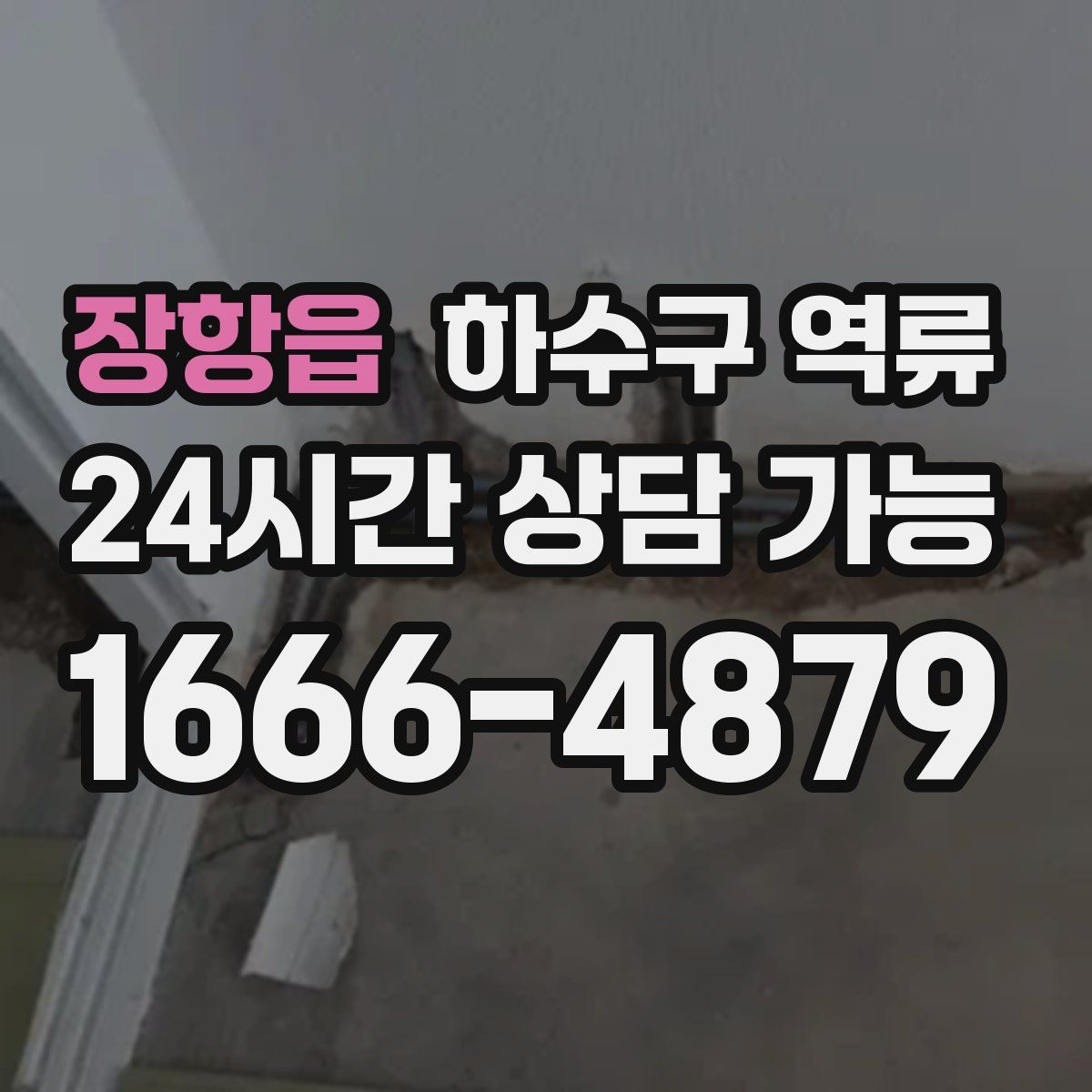 장항읍 하수구 역류