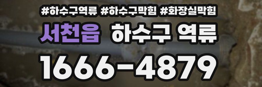 서천읍 하수구 역류