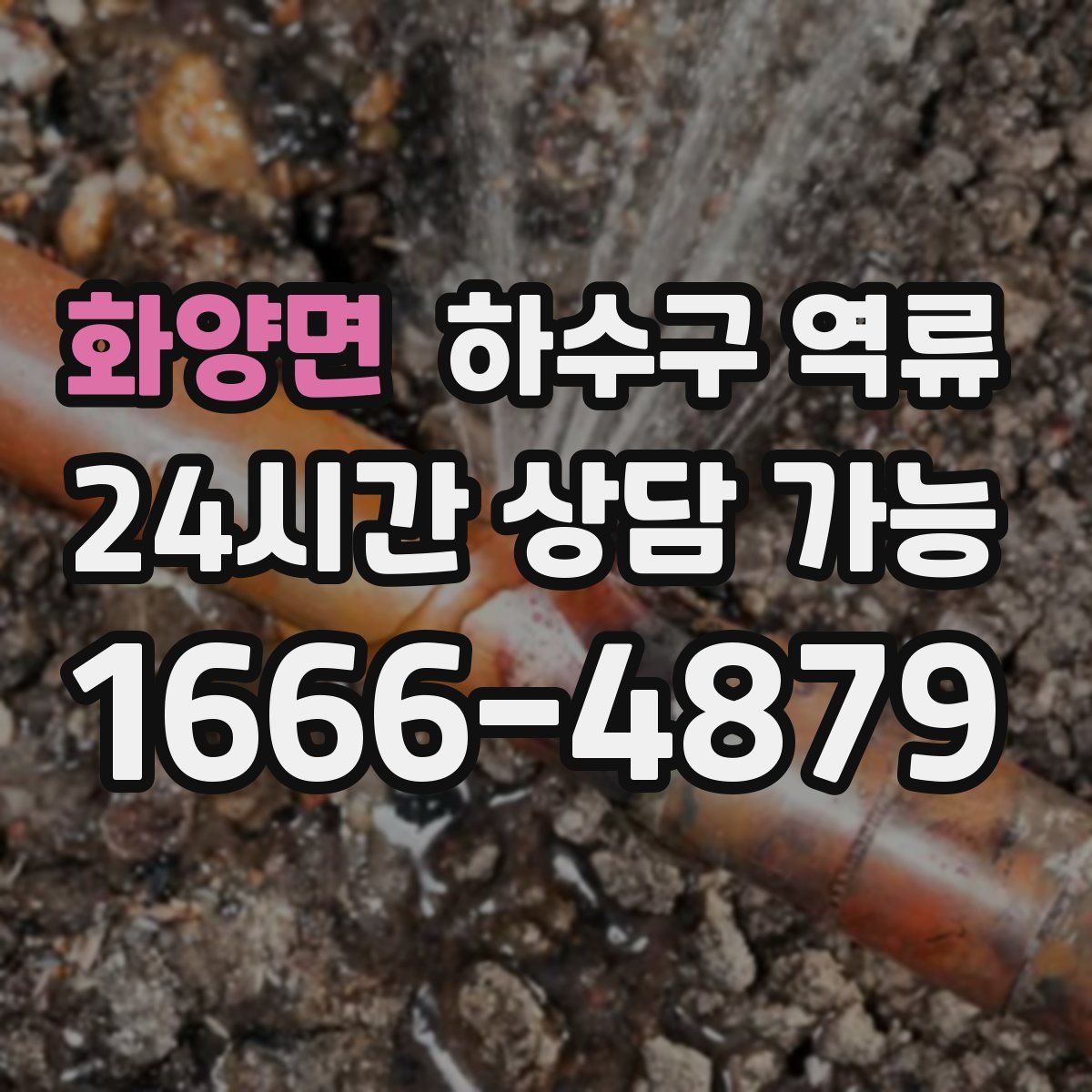 화양면 하수구 역류