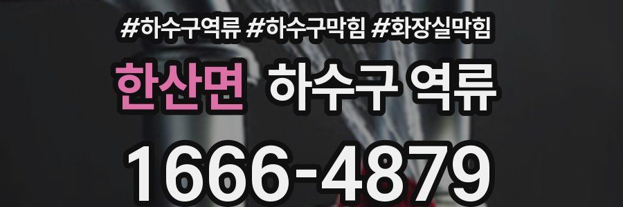 한산면 하수구 역류