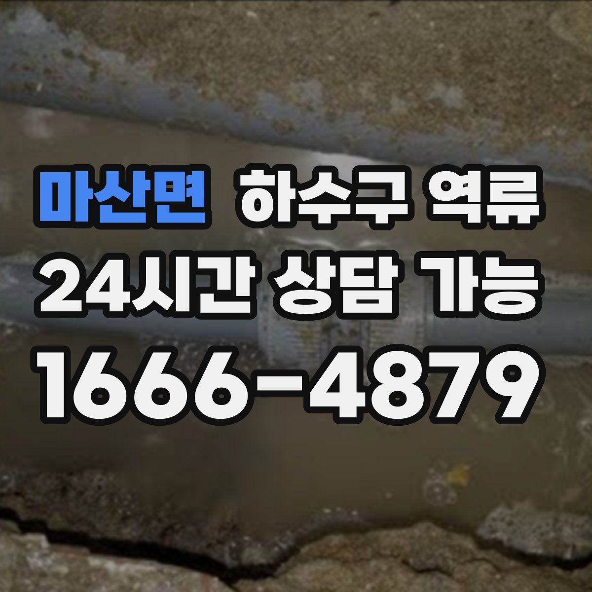 마산면 하수구 역류
