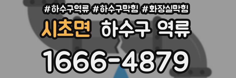 시초면 하수구 역류