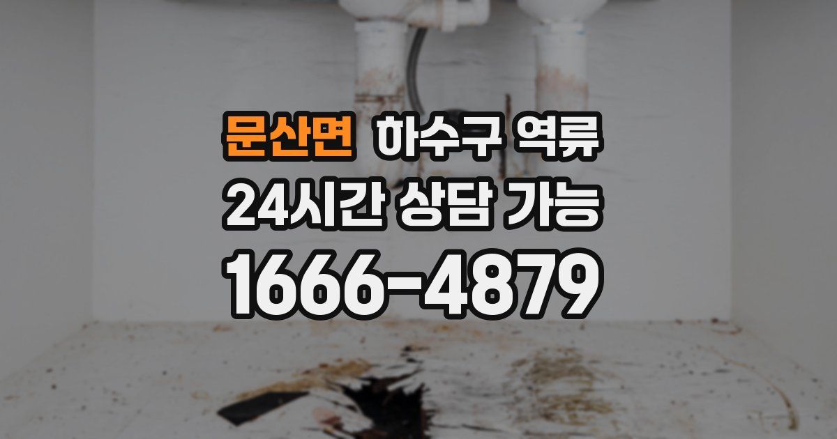 문산면 하수구 역류