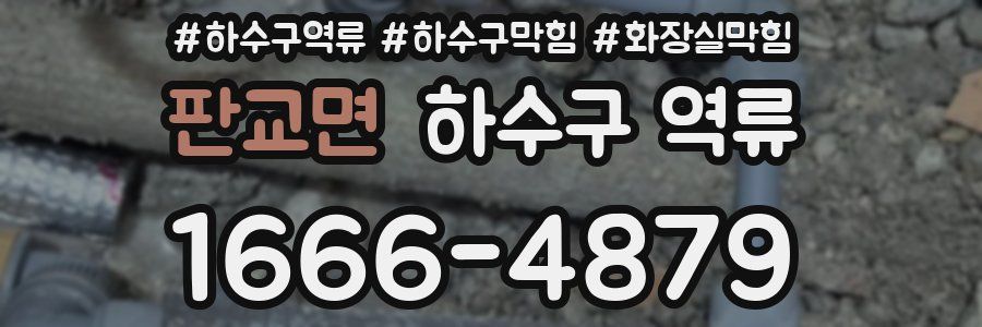 판교면 하수구 역류