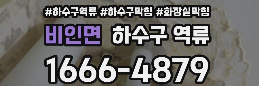 비인면 하수구 역류