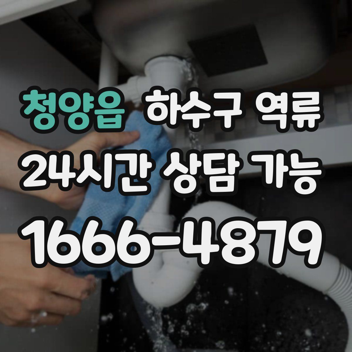 청양읍 하수구 역류