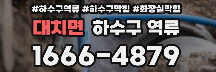 대치면 하수구 역류