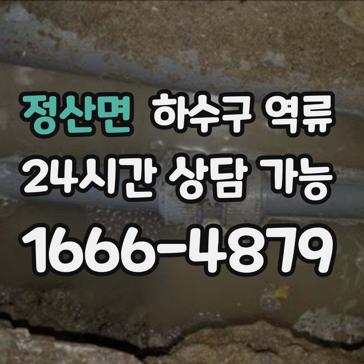 정산면 하수구 역류