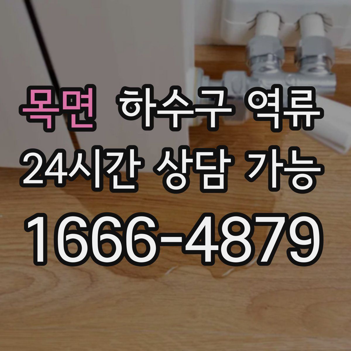 목면 하수구 역류