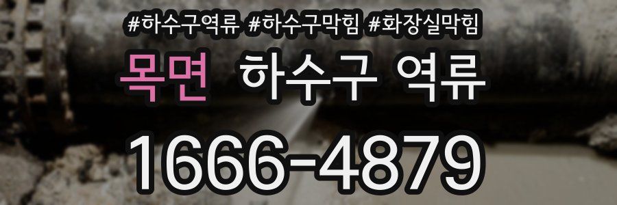 목면 하수구 역류