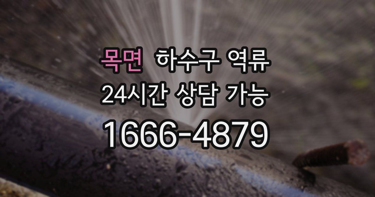 목면 하수구 역류