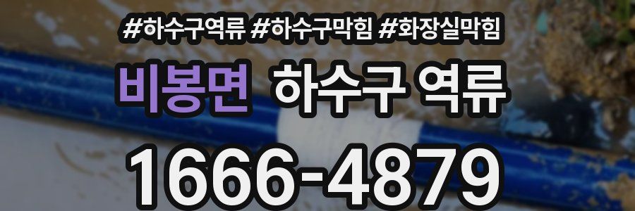 비봉면 하수구 역류