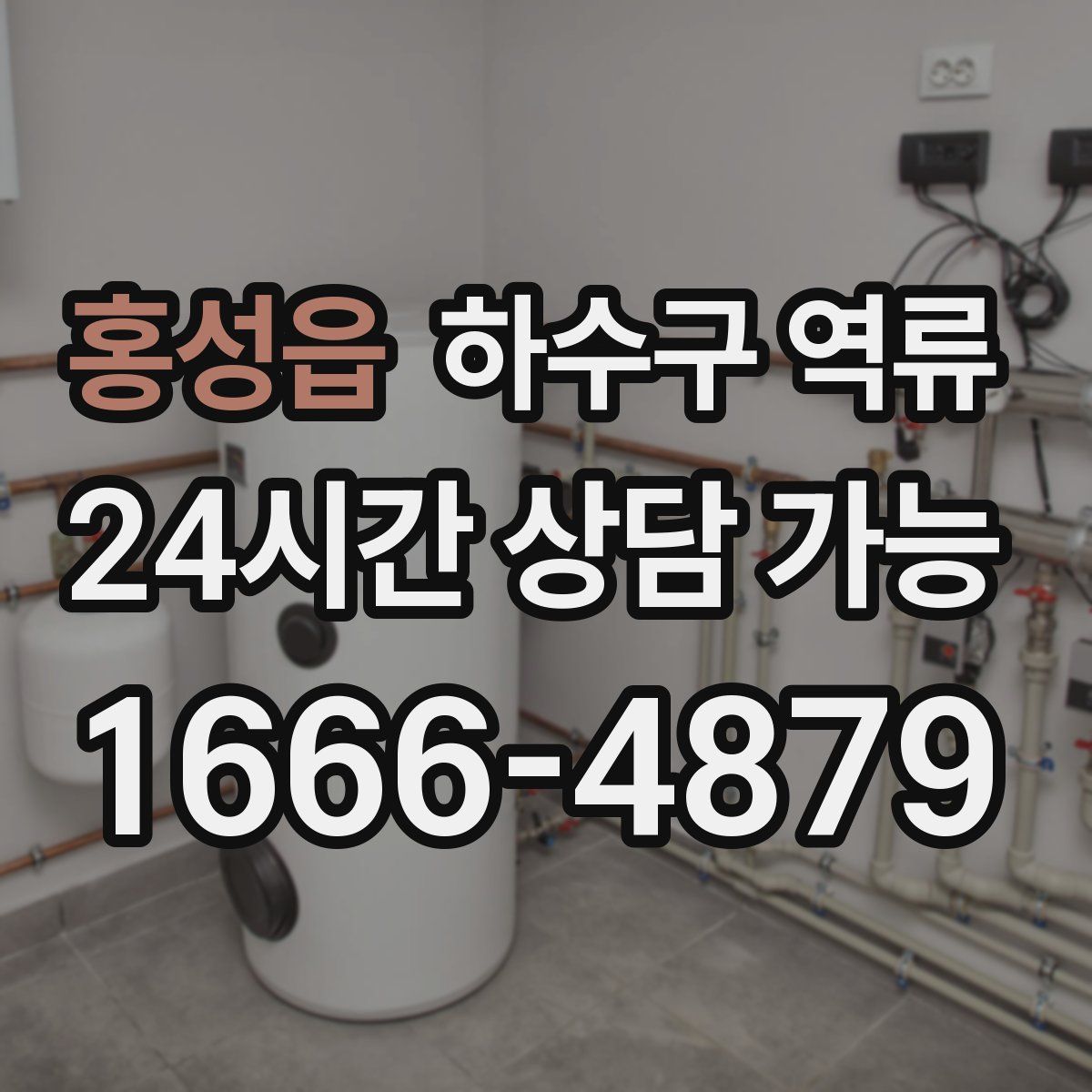 홍성읍 하수구 역류