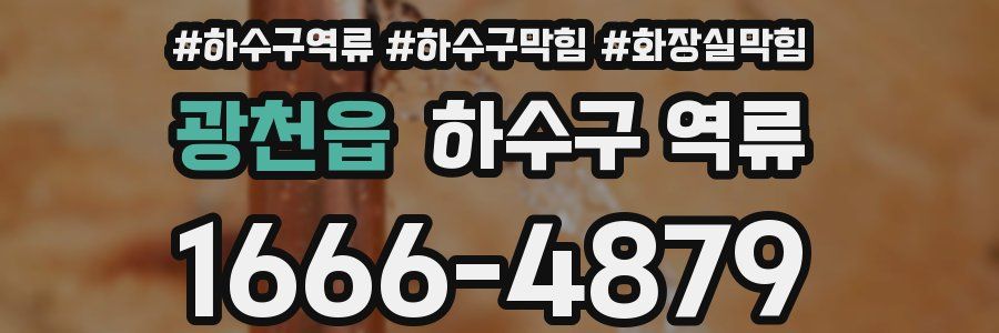 광천읍 하수구 역류