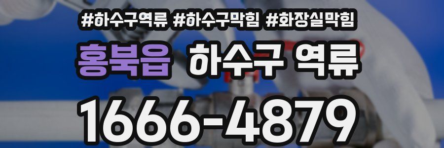 홍북읍 하수구 역류