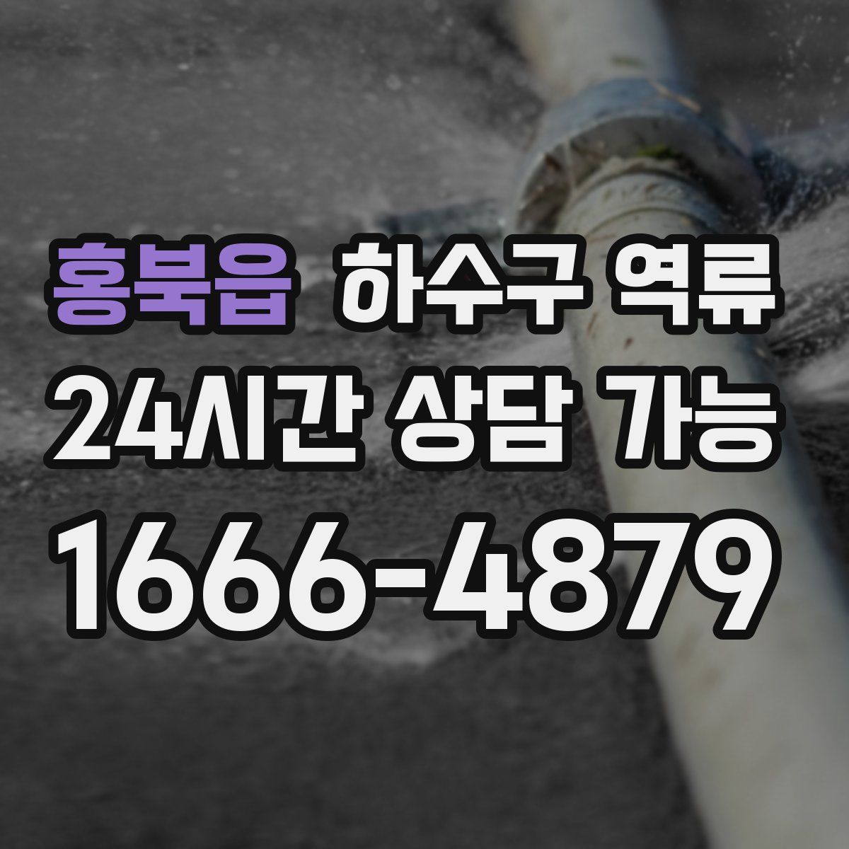 홍북읍 하수구 역류