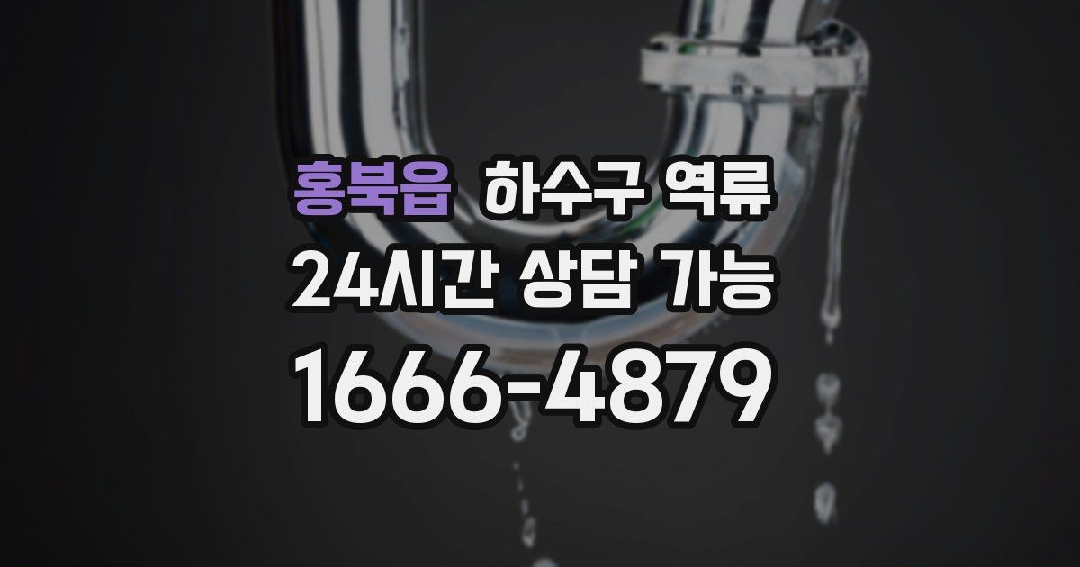 홍북읍 하수구 역류