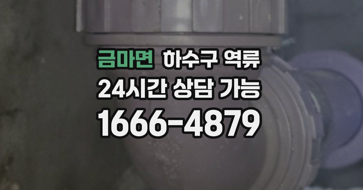 금마면 하수구 역류