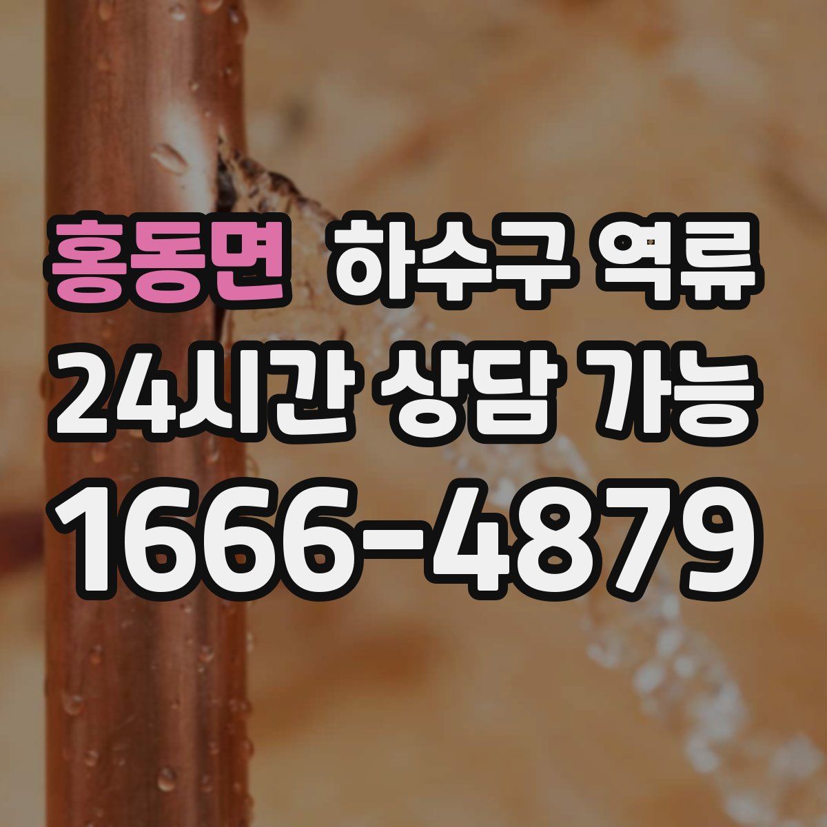 홍동면 하수구 역류