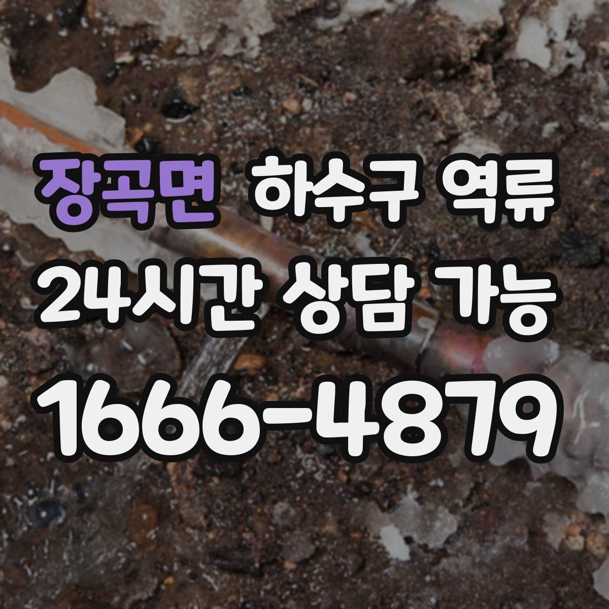 장곡면 하수구 역류