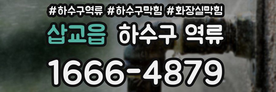 삽교읍 하수구 역류