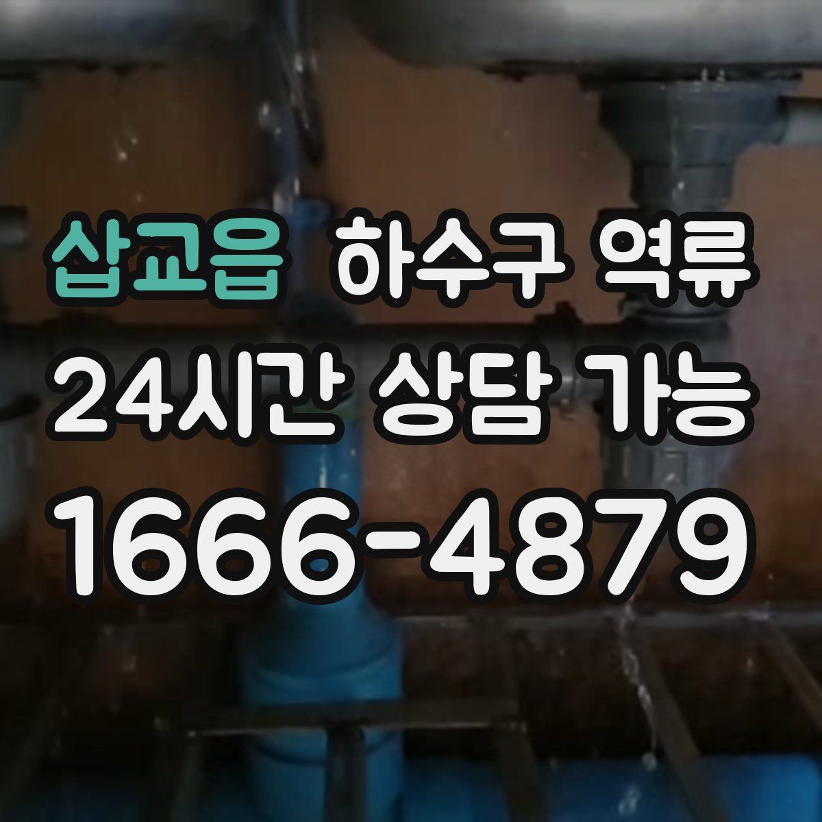 삽교읍 하수구 역류