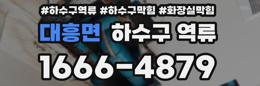 대흥면 하수구 역류