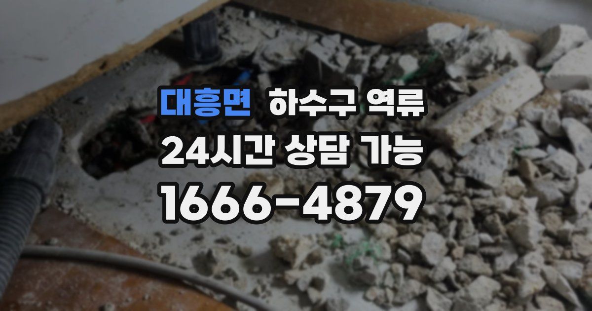 대흥면 하수구 역류