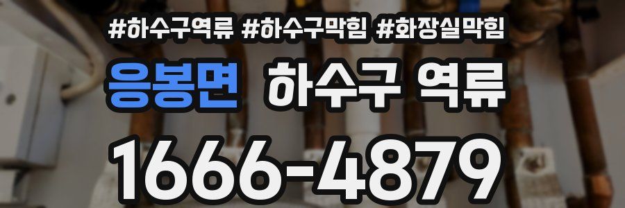 응봉면 하수구 역류