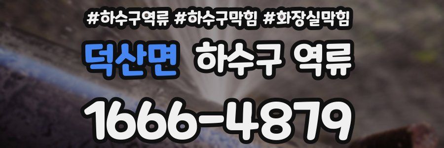 덕산면 하수구 역류