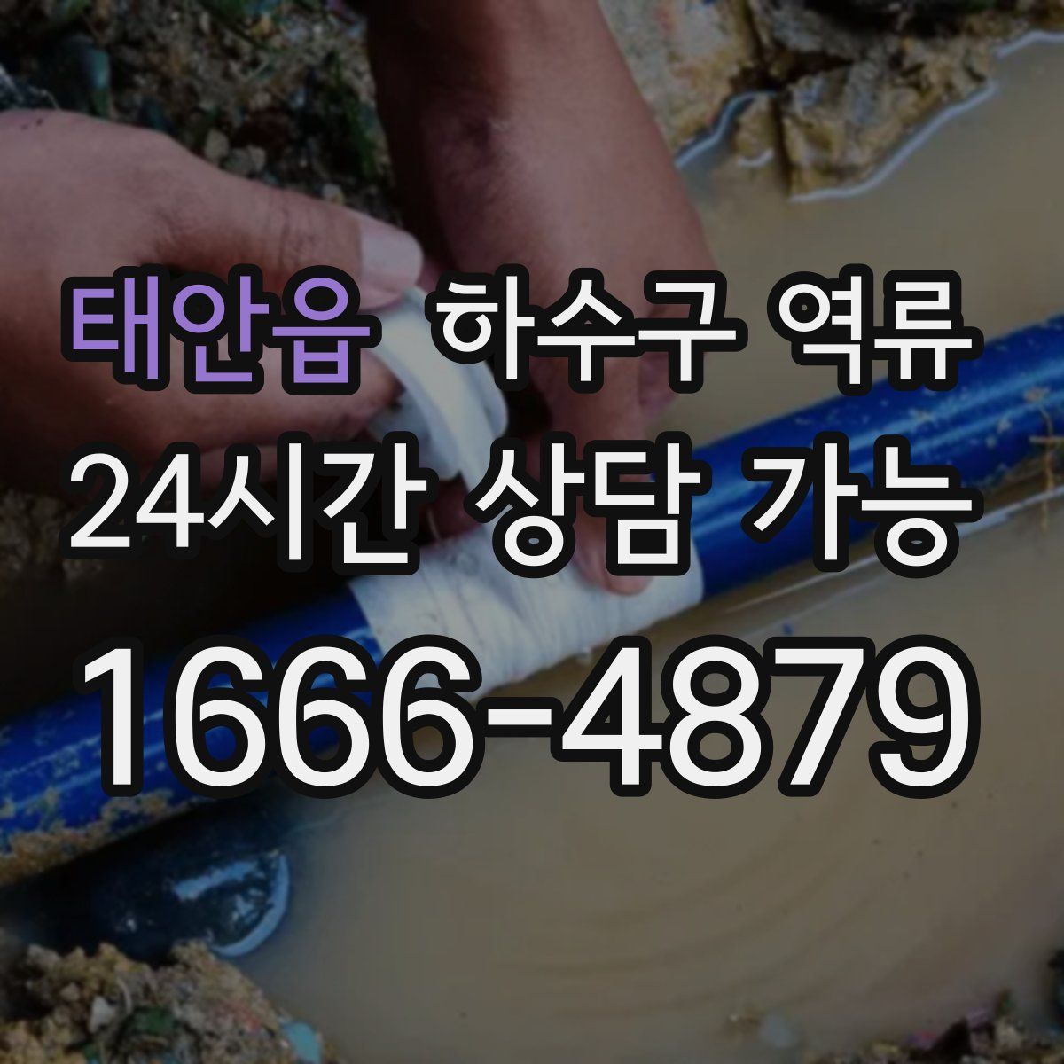 태안읍 하수구 역류