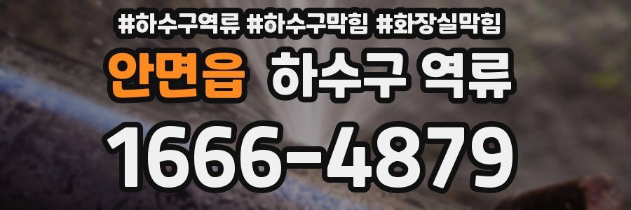 안면읍 하수구 역류