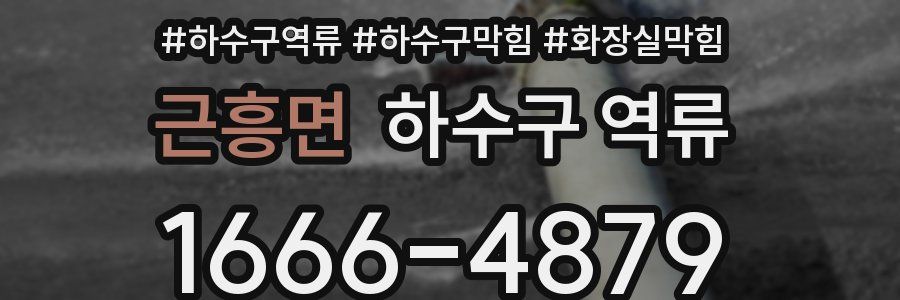 근흥면 하수구 역류