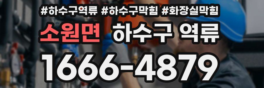 소원면 하수구 역류