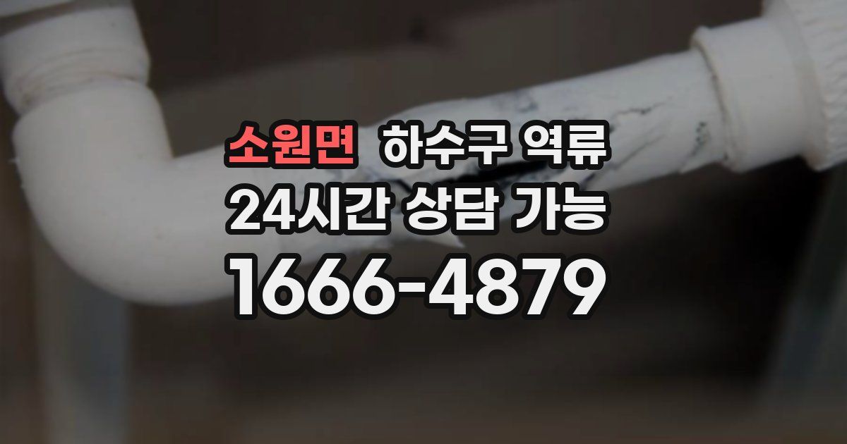 소원면 하수구 역류